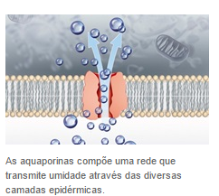 prêmio